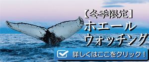 ホエールウォッチングツアー/