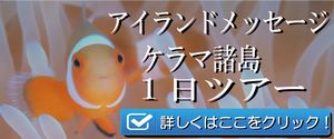 ケラマ諸島 ボート体験ダイビング＆シ ュノーケリングツアー 9,800 円