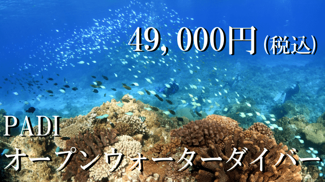 PADIオープンウォーターコース