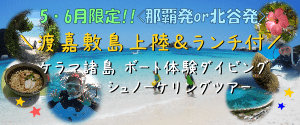 渡嘉敷島