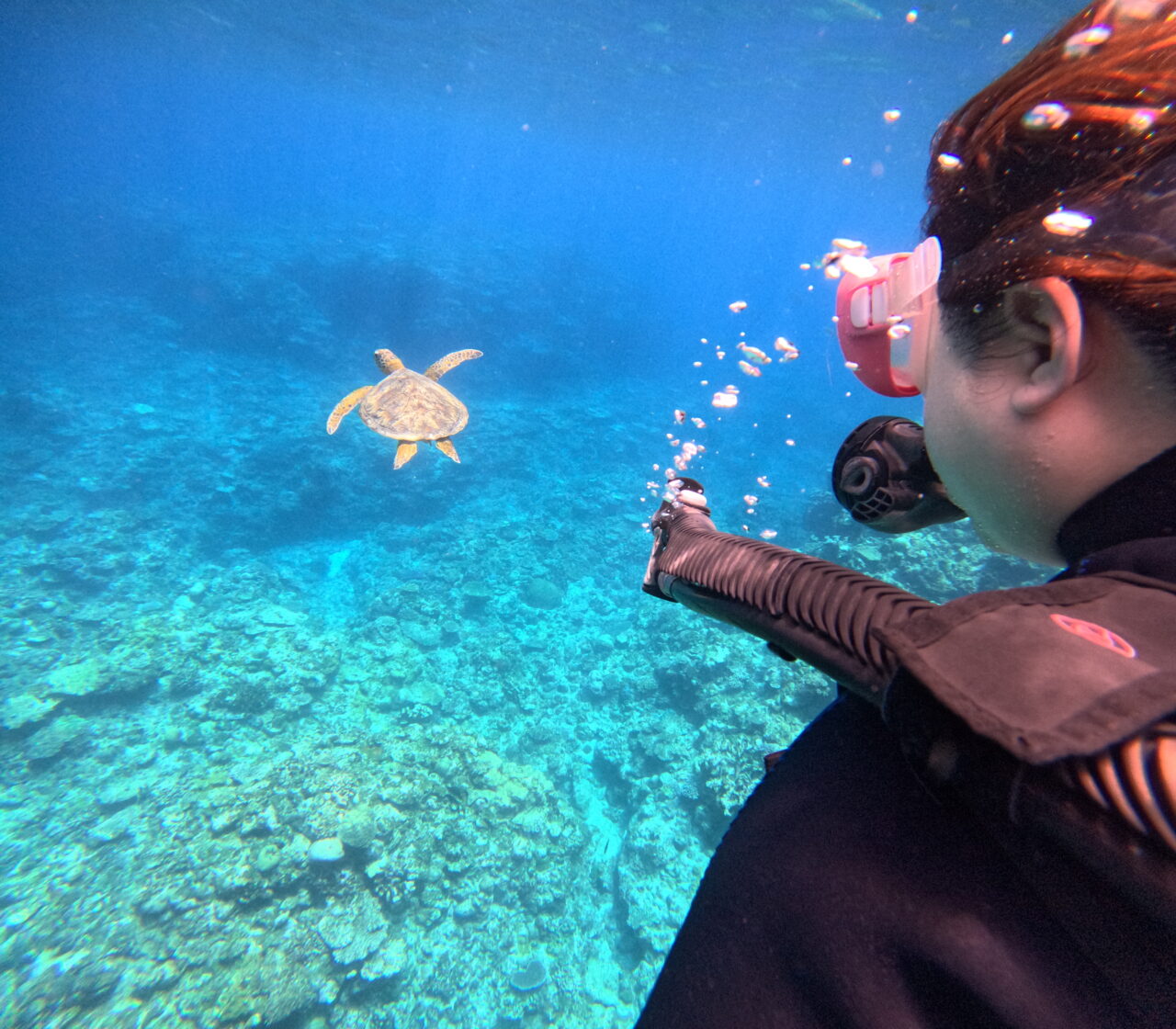 2025.8.8（金） 北谷＆那覇発 ケラマ諸島 体験ダイビング