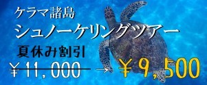 キャンペーン