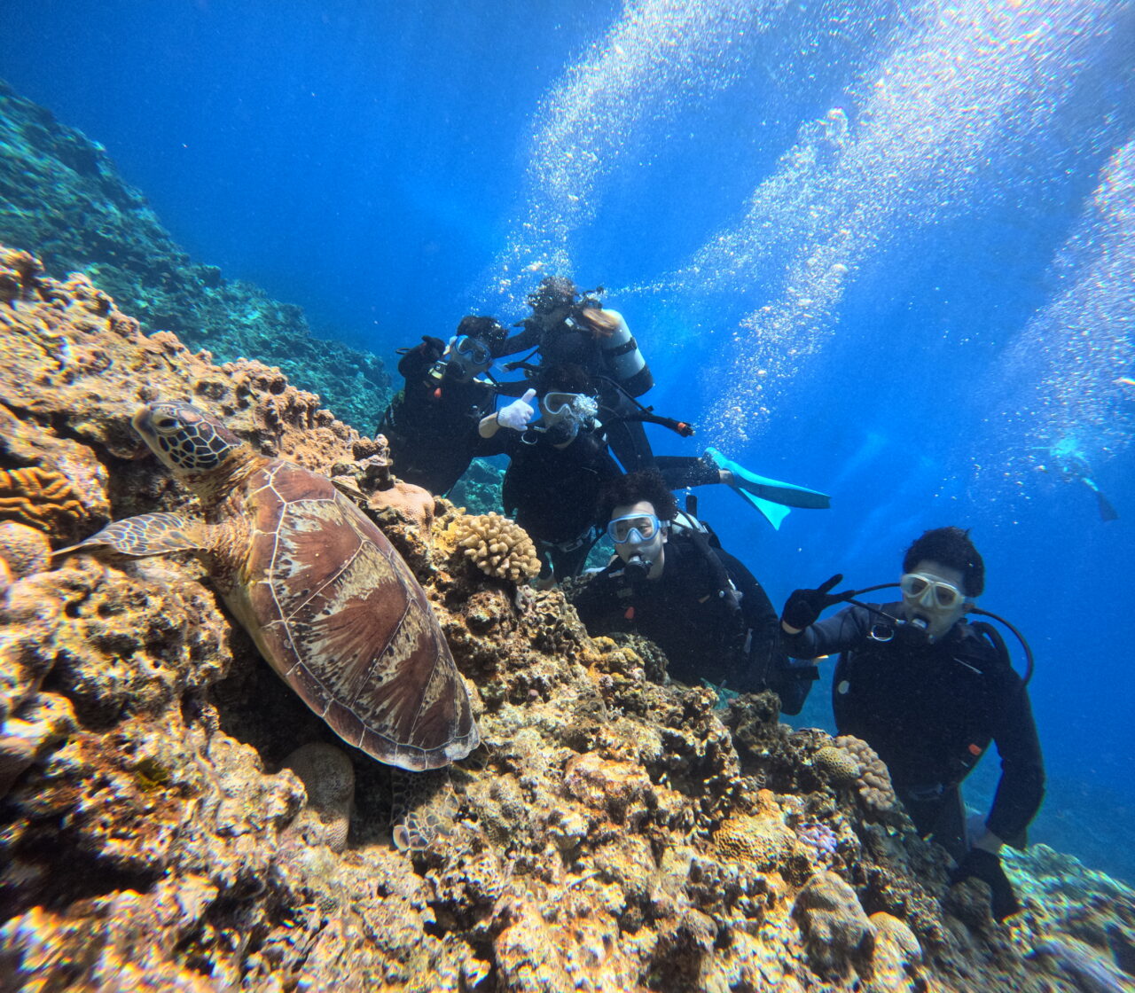 2025.9.7（日） 北谷＆那覇発 ケラマ諸島 体験ダイビング