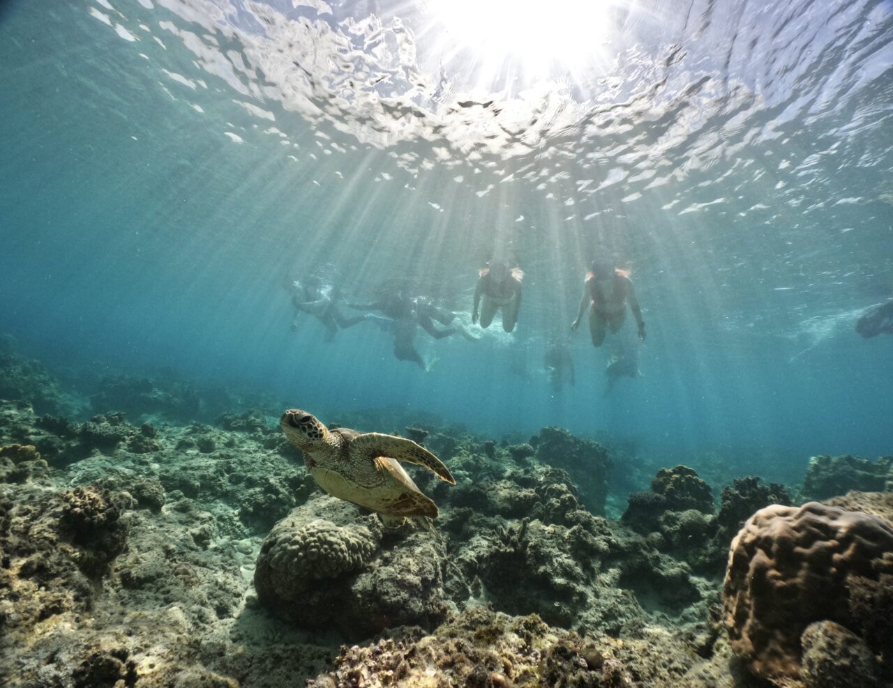 2025.10.13（日） 北谷＆那覇発 ケラマ諸島 体験ダイビング