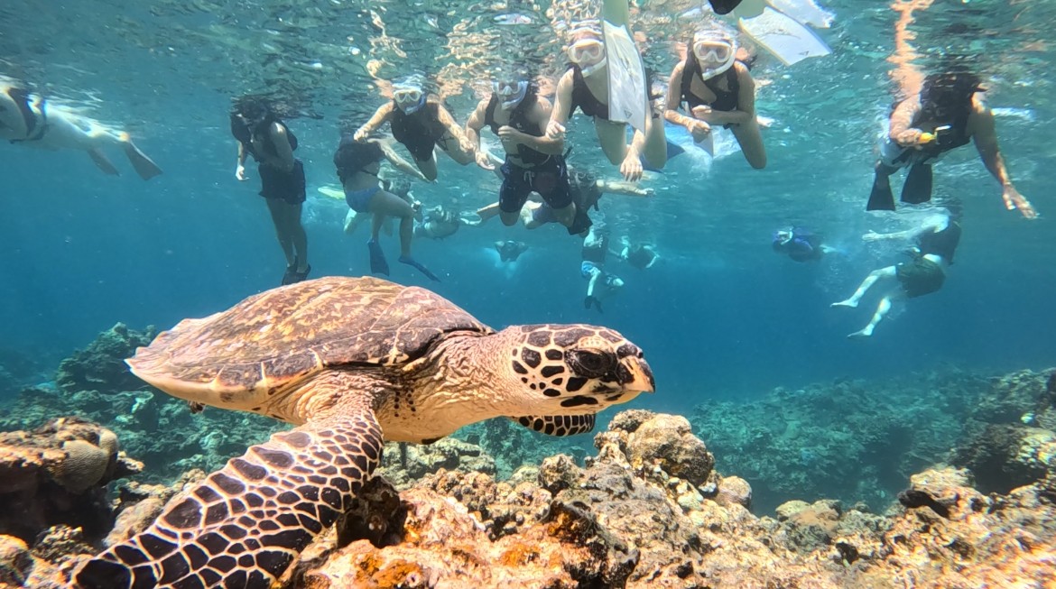 2025.10.15（水） 北谷＆那覇発 ケラマ諸島 体験ダイビング