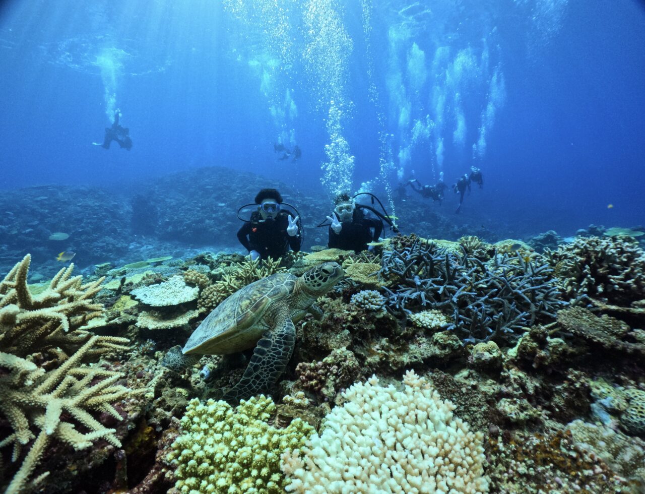 ‼️キング縄文マーブル オマケ2個付き‼️土曜日限定 310304_02_600x600.jpg?v=1740464364