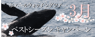 3月BESTキャンペーン