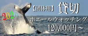 貸切ホエール
