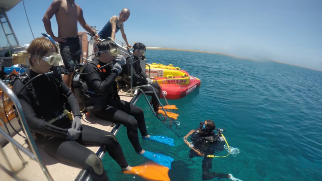 ダイビングをお申込みの場合、午前中に行います。