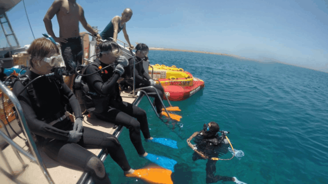 ダイビングをお申込みの場合、午前中に行います。