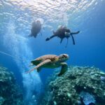 DCIM100GOPROGOPR3371.JPG