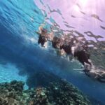 DCIM100GOPROGOPR2261.JPG